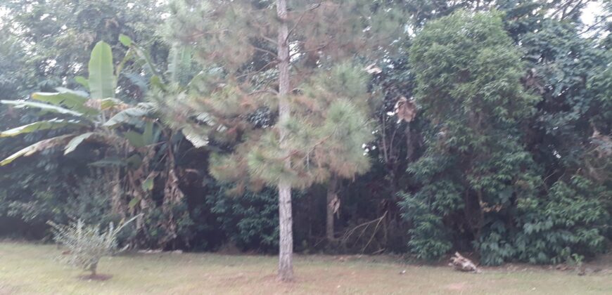 Terreno Real Park